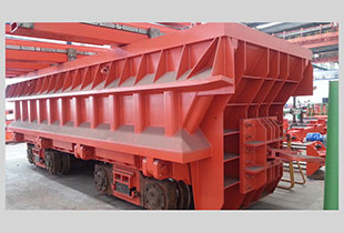 W020241120606762167919