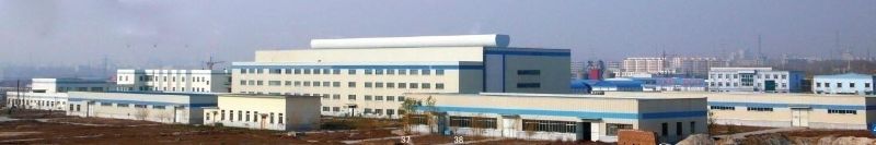 W020241121375675041182