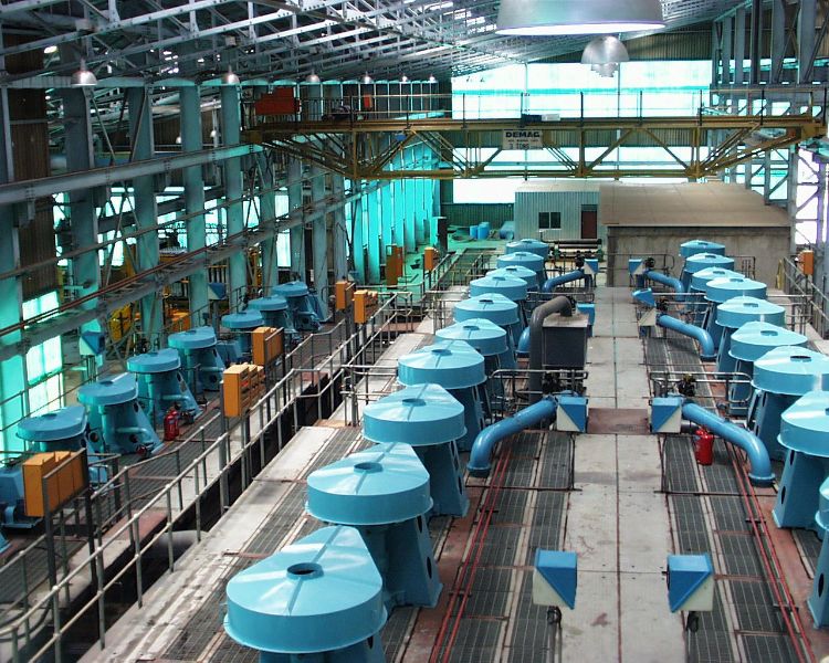 W020241119524347184233