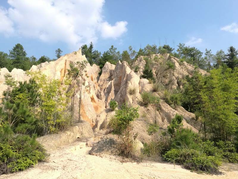 W020241119527188891822