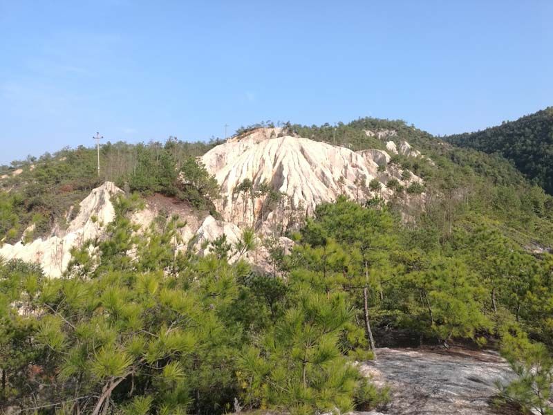 W020241119527188948222