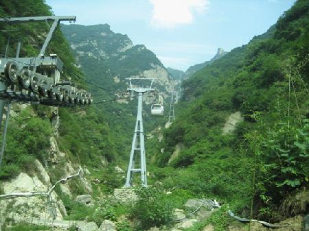 W020241119528338627721