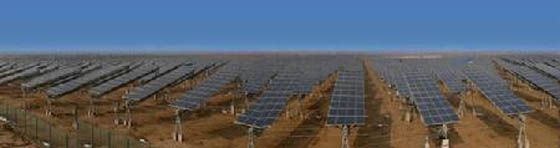 W020241119526079049440